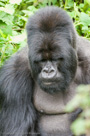 2007 - Rwanda