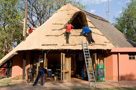 2008 - Zambia
